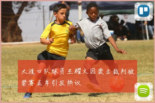 大渡口队球员王耀文因袭击裁判被禁赛五年引发热议