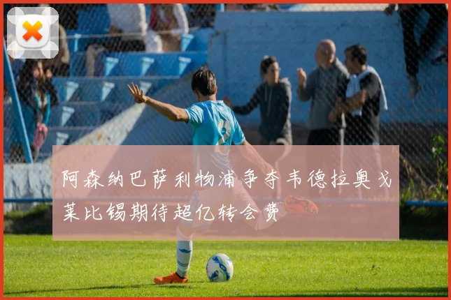 阿森纳巴萨利物浦争夺韦德拉奥戈莱比锡期待超亿转会费