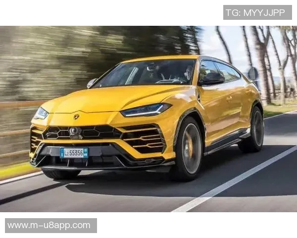 湖记：东契奇与里夫斯搭档无詹阵容下DFS表现天差地别的深度分析